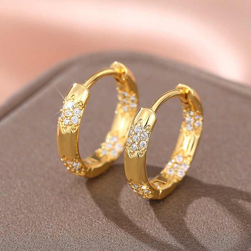 European, American And French Style Earrings For Women