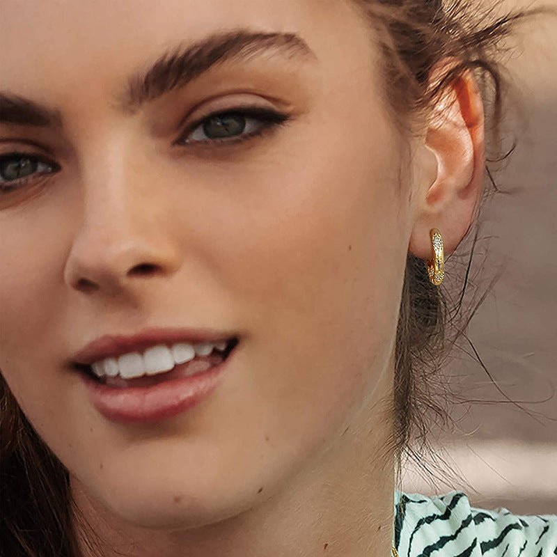 European, American And French Style Earrings For Women