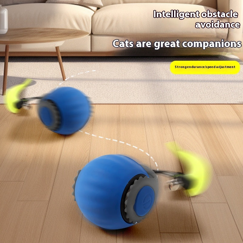 Speedy Tail