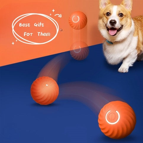 Pet Toys