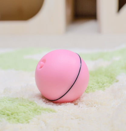 Funny Rolling Ball For Your Pet Cats