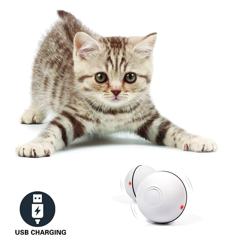 Funny Rolling Ball For Your Pet Cats