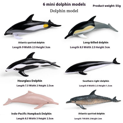 Simulation Marine Animal Model Children's Cognitive Toy