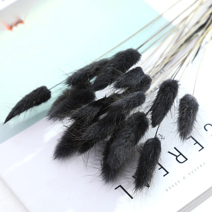 Home Decoration Ornaments - Rabbit Tail Grass Dried Flower Bouquet