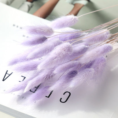 Home Decoration Ornaments - Rabbit Tail Grass Dried Flower Bouquet