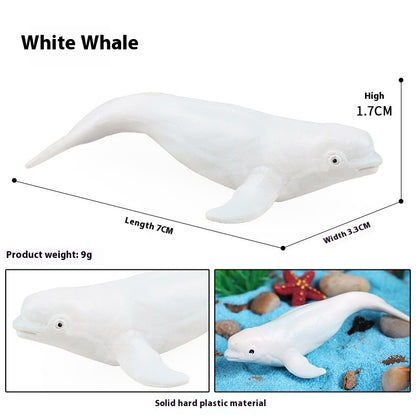 Simulation Marine Animal Model Children's Cognitive Toy
