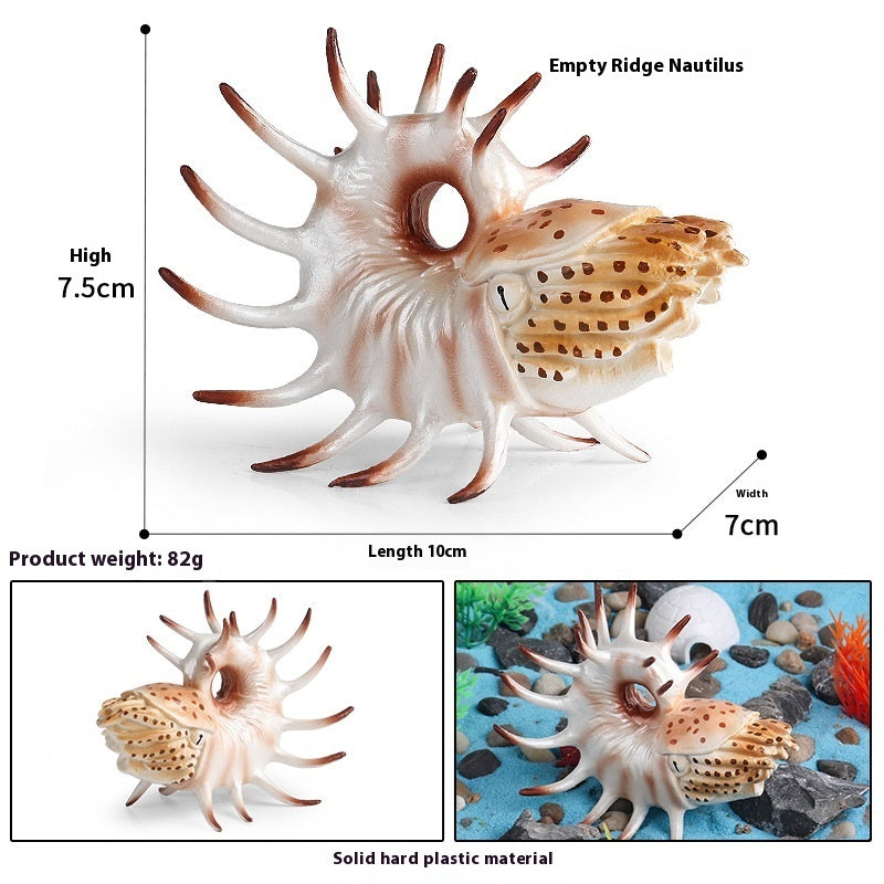 Simulation Marine Animal Model Children's Cognitive Toy