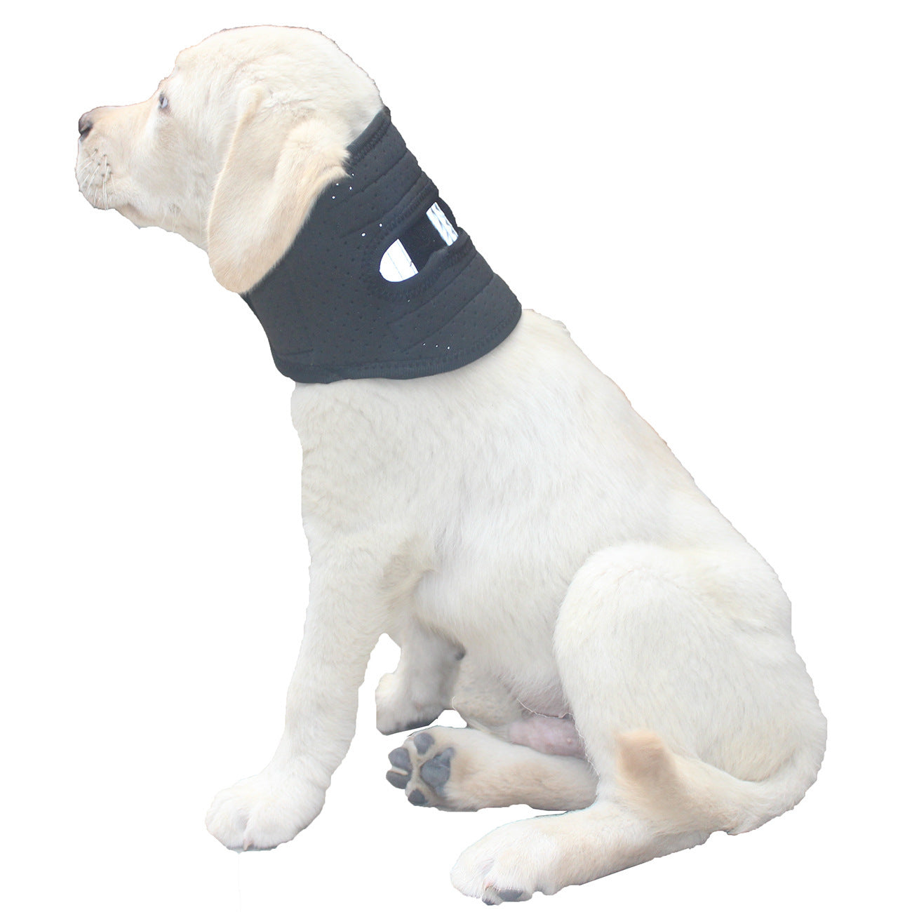 NEW Dog Support Collar Collar Anti-licking Sprained Neck Head Cover Pet Neck Support Small Medium Large Adjustable Universal