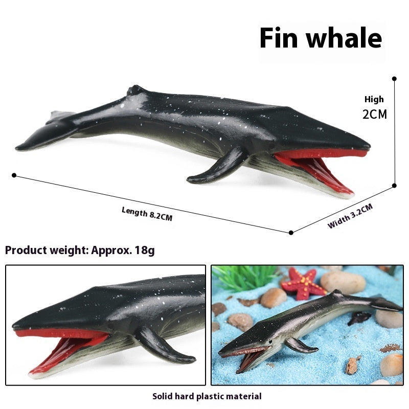 Simulation Marine Animal Model Children's Cognitive Toy