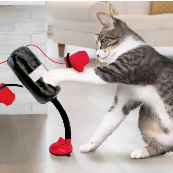 Portable Cat Punching Bag Toy Interactive Indoor Cats Kitten Toy With Gloves Cat Toy For Kitten Pet Cat Supplies Pets Products - Ocean Vault