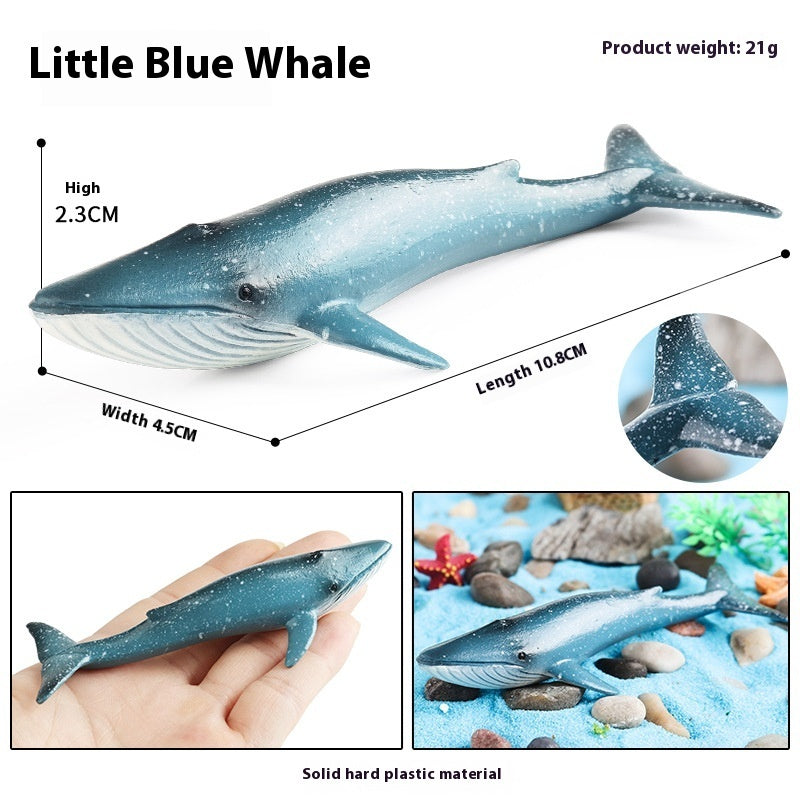 Simulation Marine Animal Model Children's Cognitive Toy