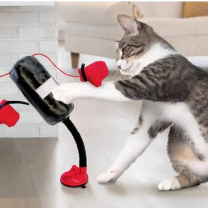 Portable Cat Punching Bag Toy Interactive Indoor Cats Kitten Toy With Gloves Cat Toy For Kitten Pet Cat Supplies Pets Products - Ocean Vault