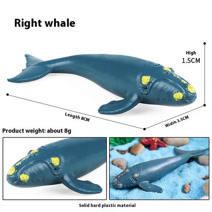 Simulation Marine Animal Model Children's Cognitive Toy