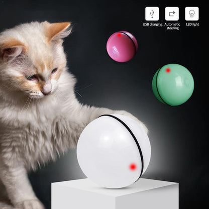 Funny Rolling Ball For Your Pet Cats