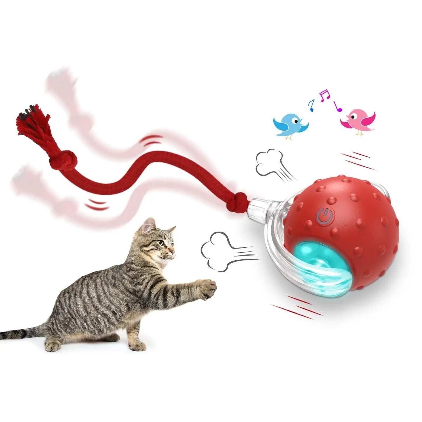 Speedy Tail 2.0