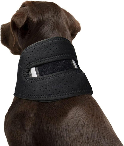 NEW Dog Support Collar Collar Anti-licking Sprained Neck Head Cover Pet Neck Support Small Medium Large Adjustable Universal